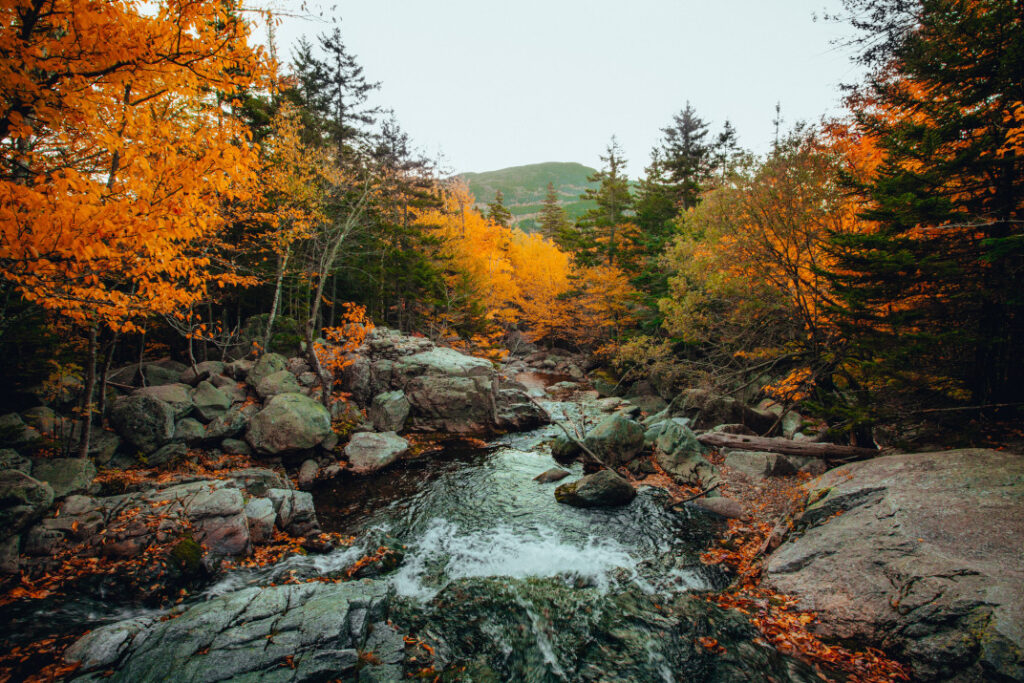 New Hampshire Foliage