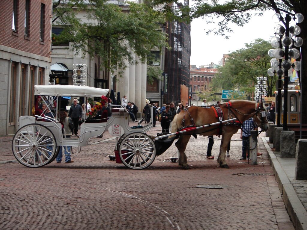 Horse and Carriage waiting at Faneuil Hall