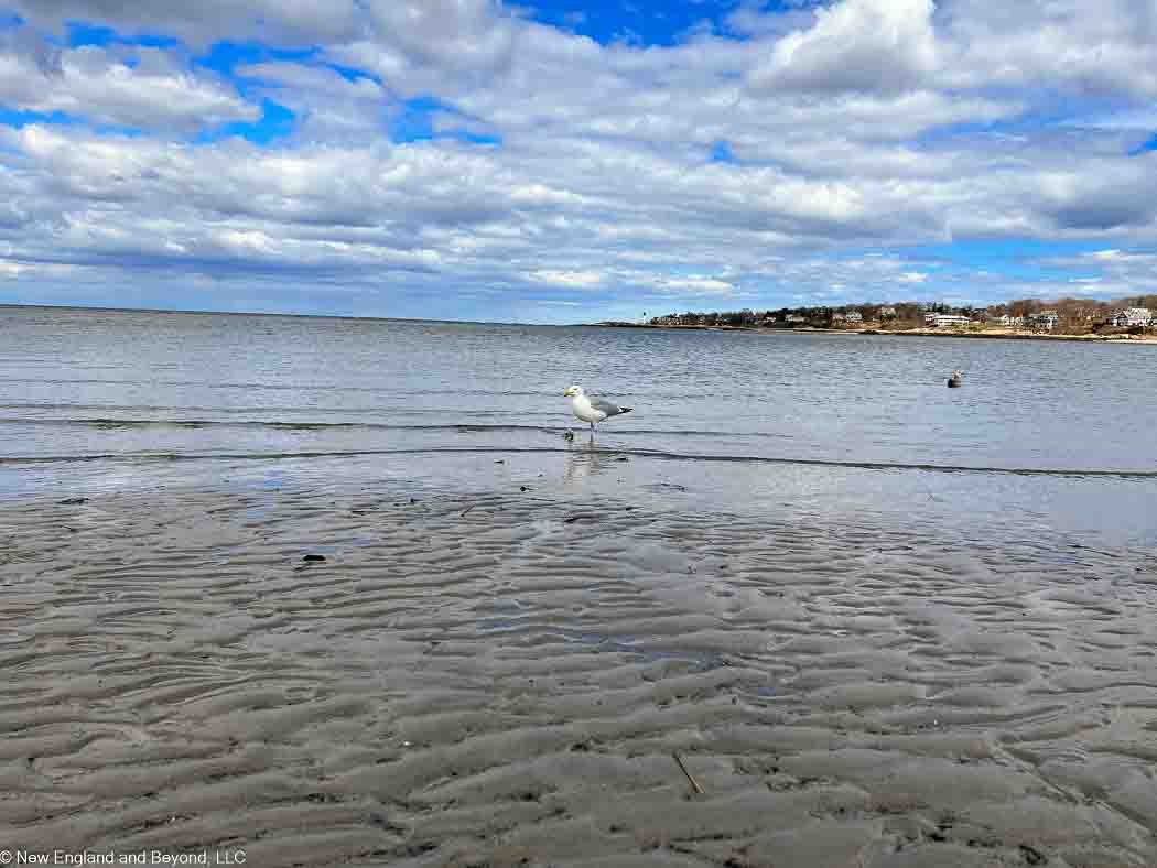 Wingaersheek Beach at Low tide