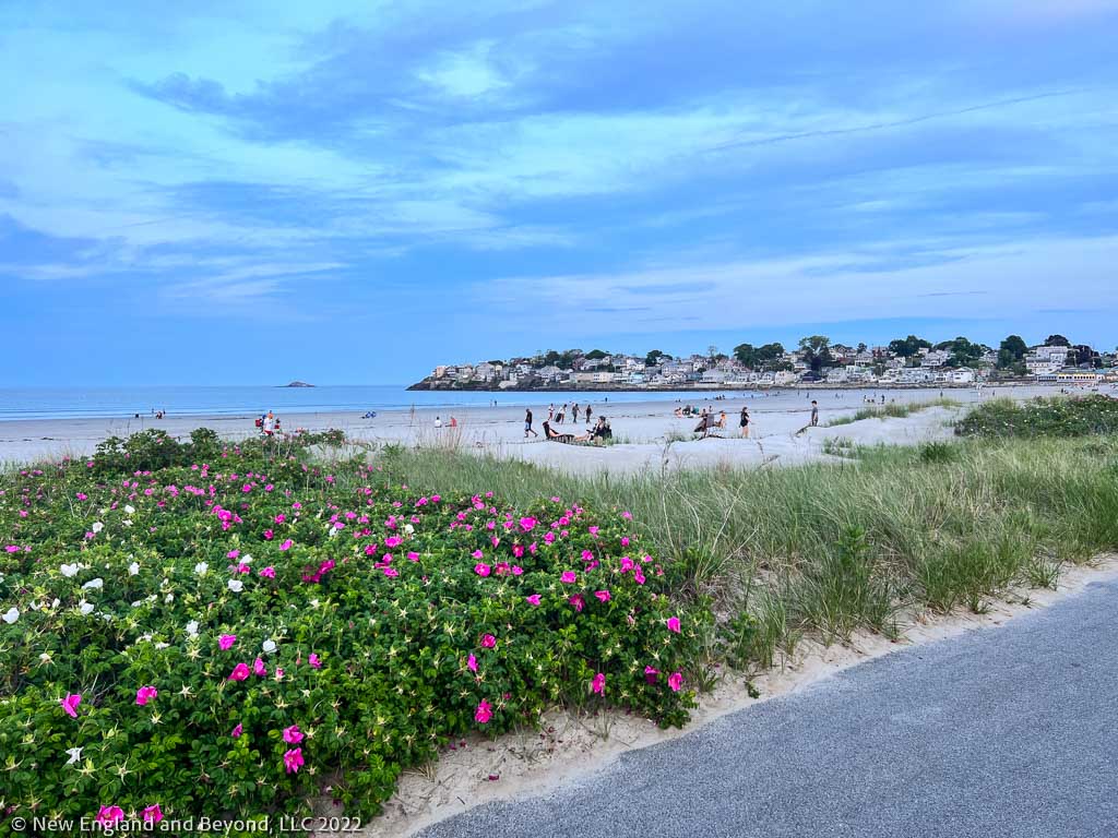 Nahant Beach