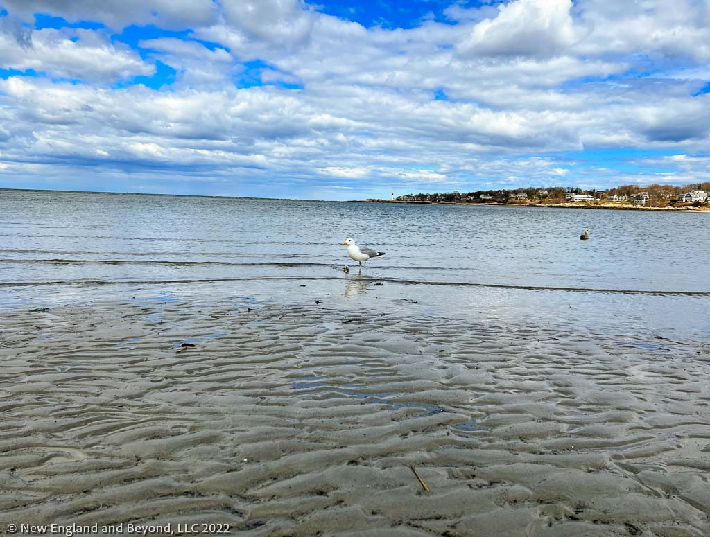 Wingaersheek Beach at Low Tide