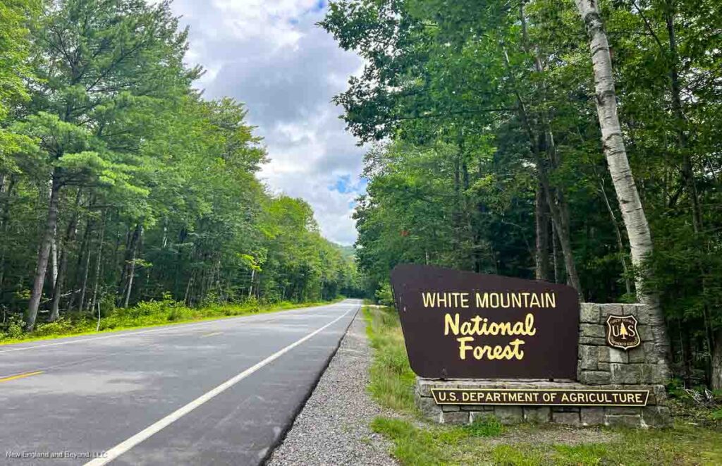 Kancamagus Highway in White Mountain National Forest