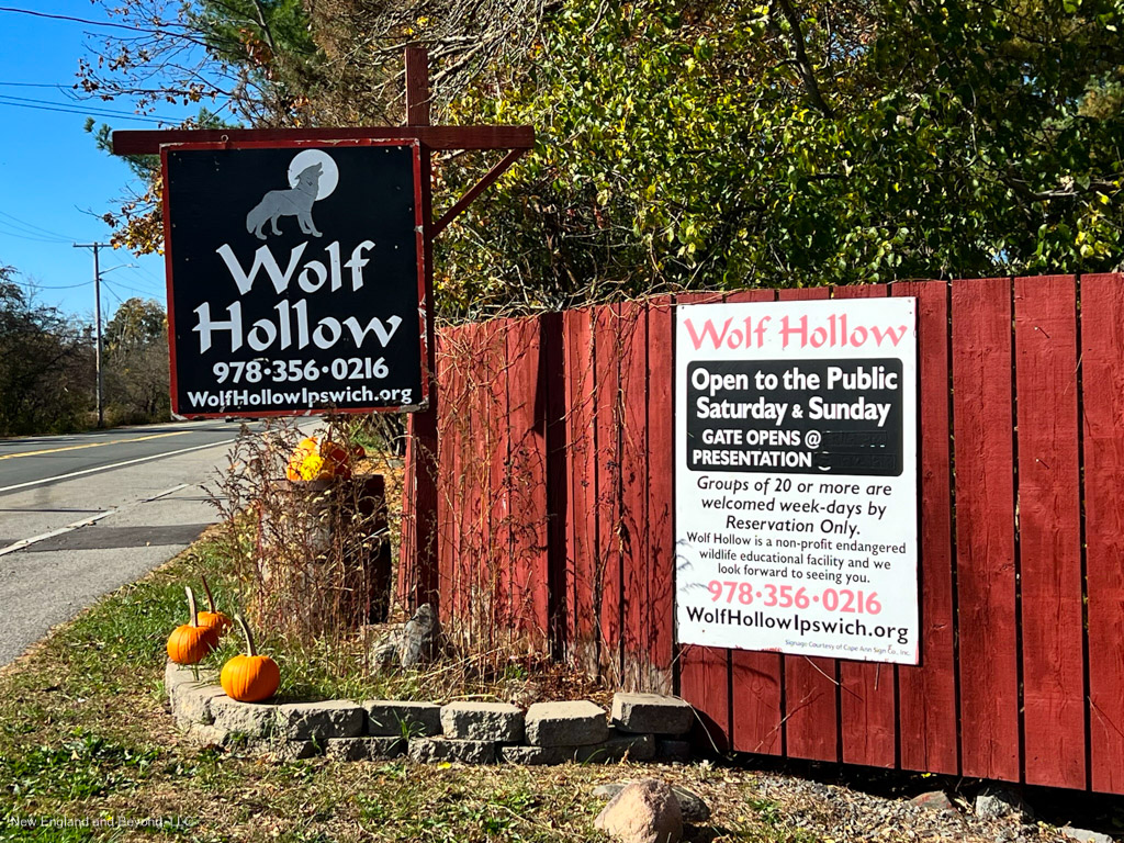 Wolf Hollow Sign
