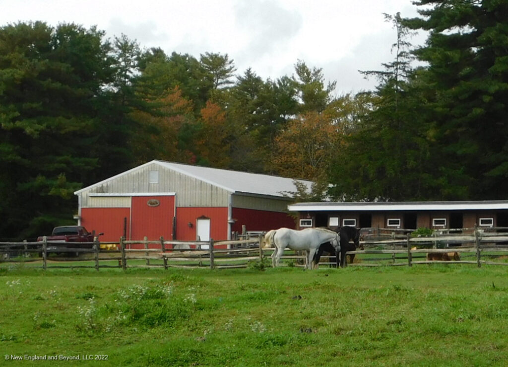 One of the many horse farms in Ipswich, MA