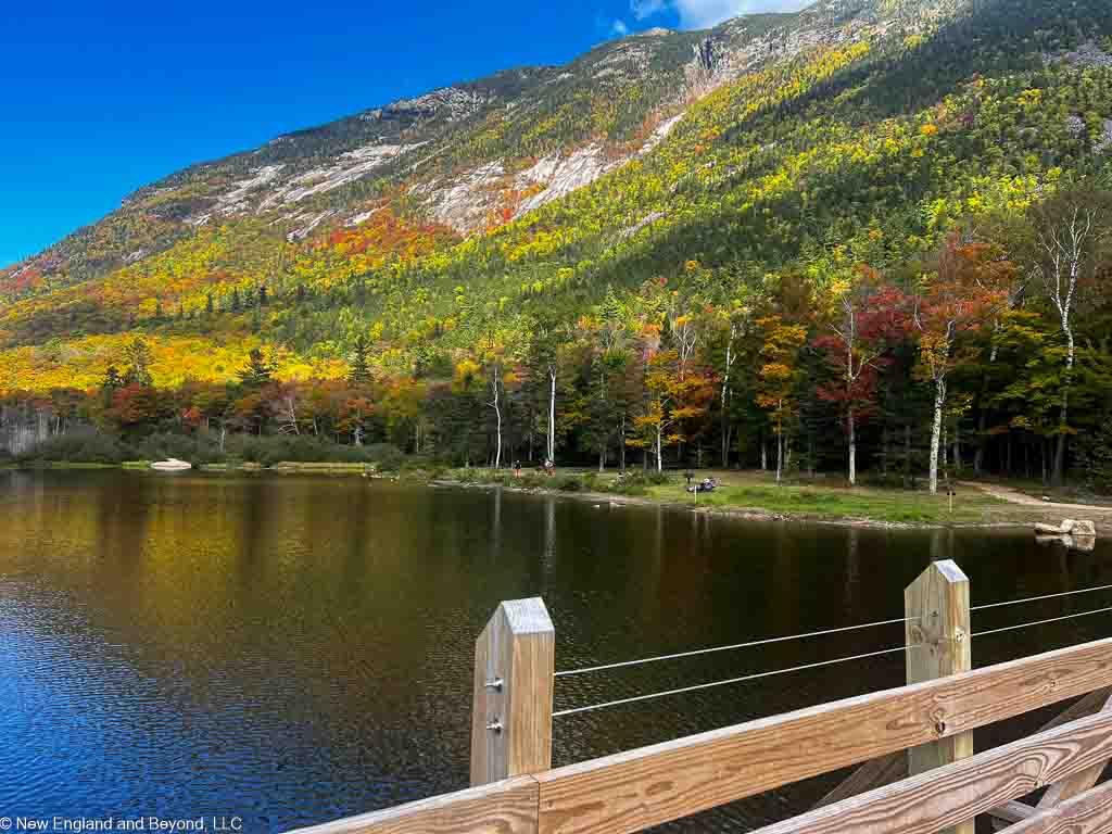 View of Willey Pond in Crawford Notch